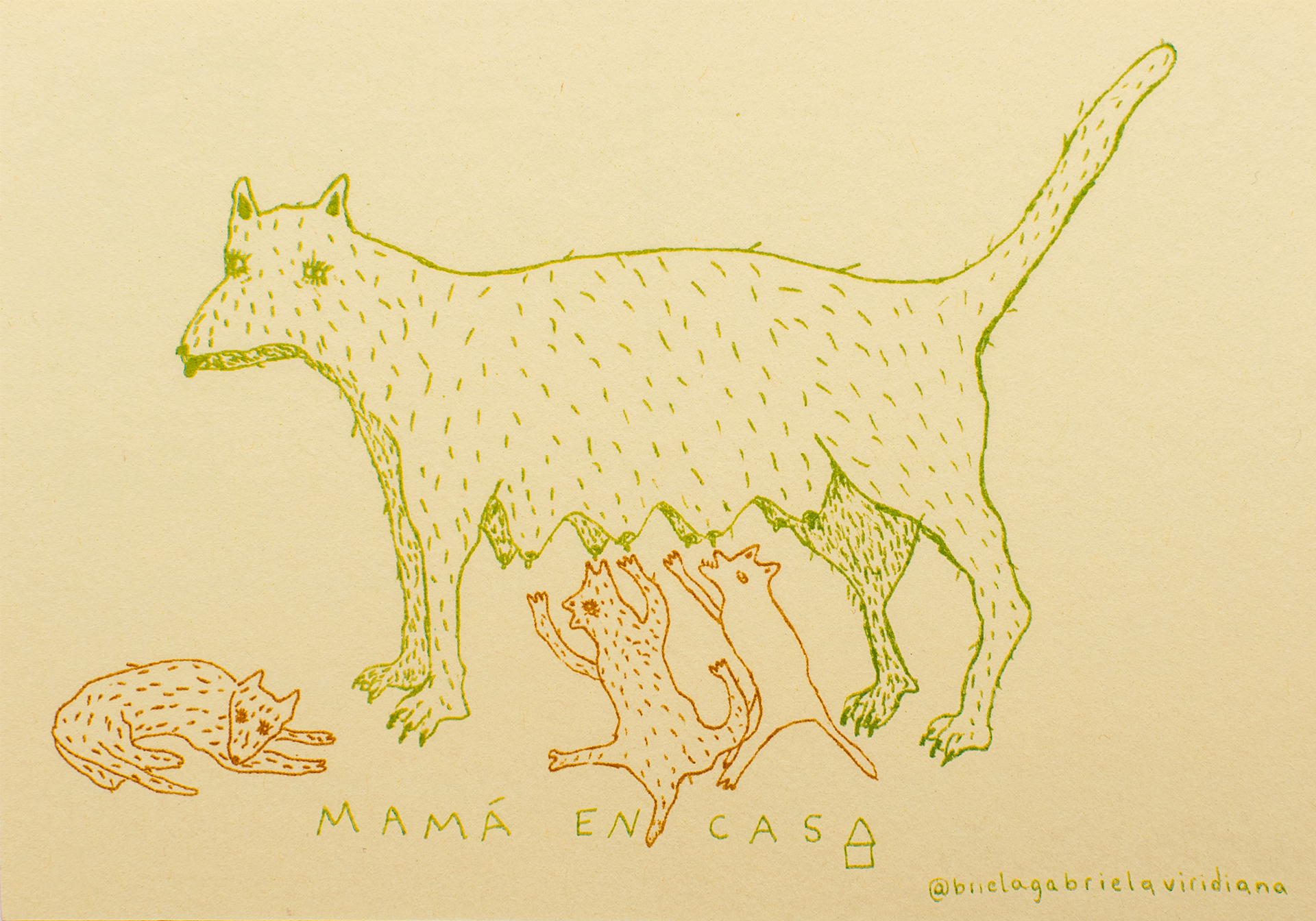Mammalia