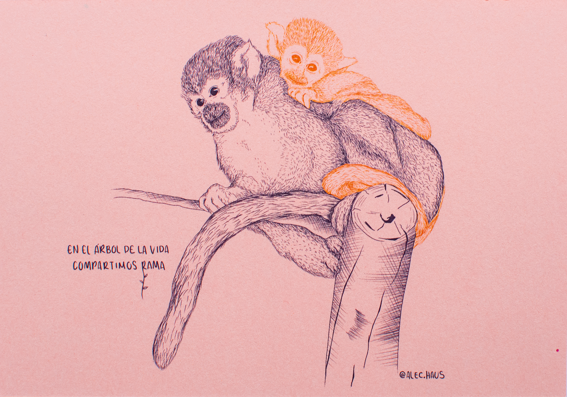 Mammalia_3.1